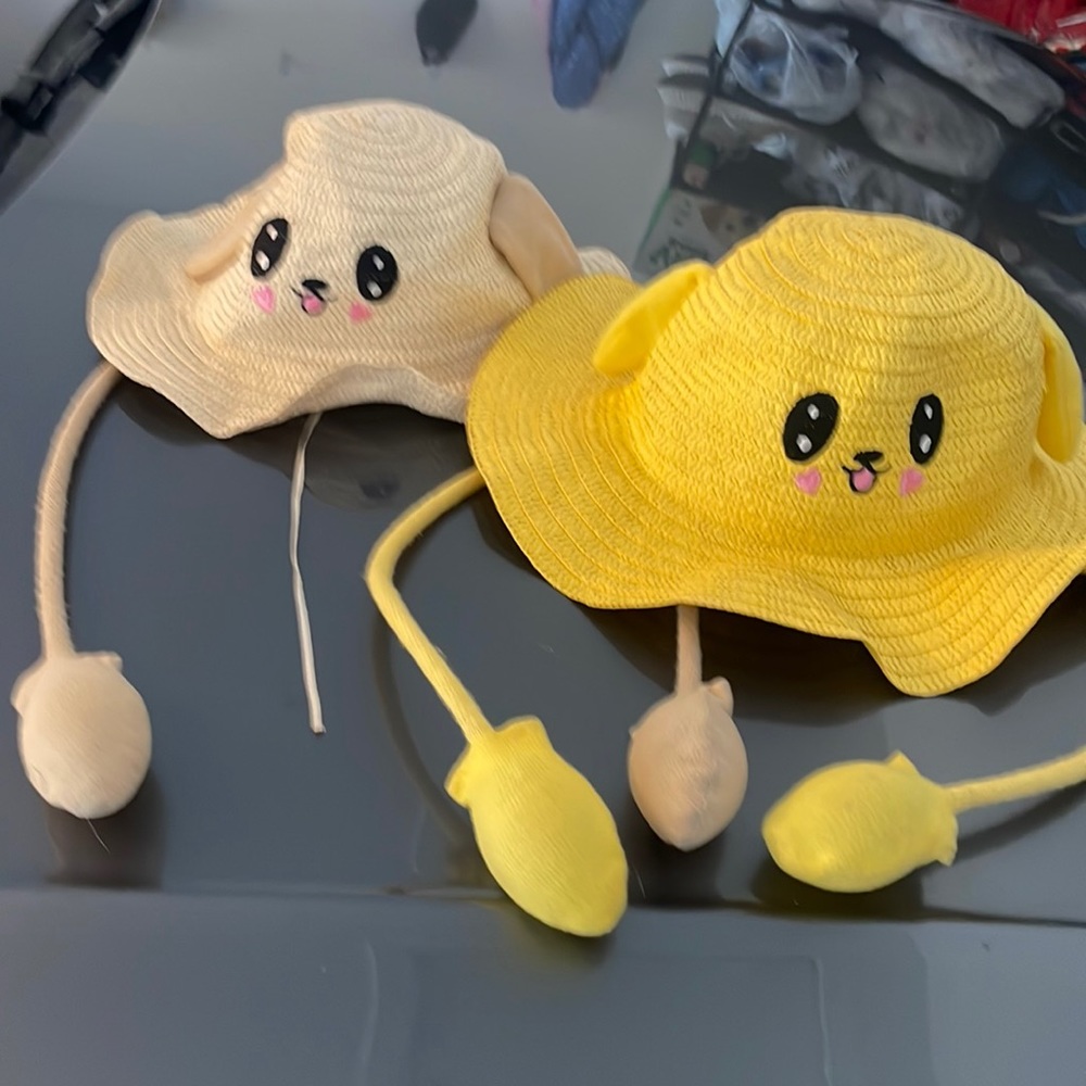 Super fun hats